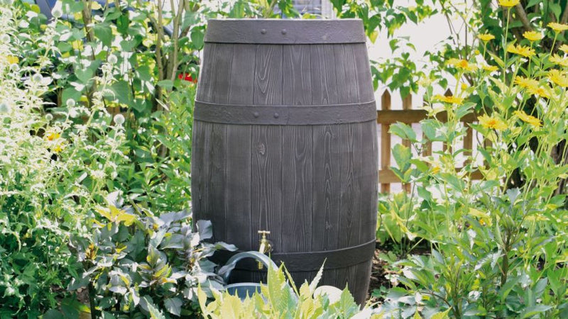 Barrique Water Butt – 250 Litres – Freeflush Water Management Ltd.